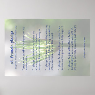 AFFICHE d'engagement du St Francis (révisé)