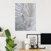 Affiche dentelle blanche (Bureau à domicile)