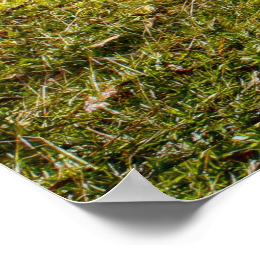 Affiche DENTS DU FUMEUR (Coin)