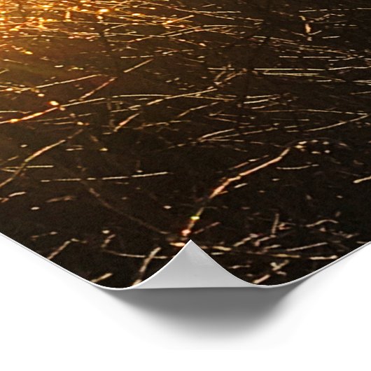 affiche des branches de glace (Coin)