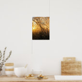 affiche des branches de glace (Cuisine)