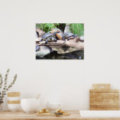 affiche des bunchaturtles (Cuisine)