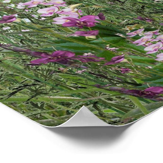 Affiche des cascades amusantes (Coin)