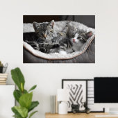 affiche des chatons pour bébé (Bureau à domicile)