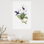 Affiche des colibris (Cuisine)