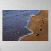 affiche des étapes (Devant)