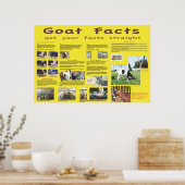 Affiche des faits sur la chèvre 1 (Cuisine)