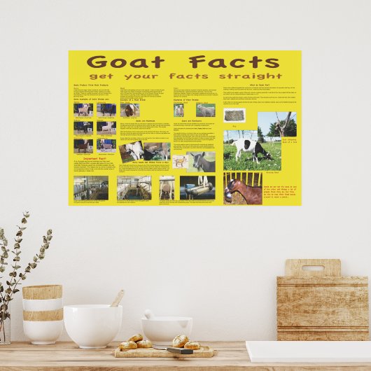 Affiche des faits sur la chèvre 1 (Cuisine)