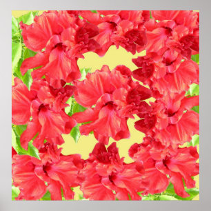 Affiche des fleurs de l'Hibiscus rouge Imprimer