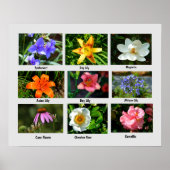 Affiche des fleurs de macro (Devant)