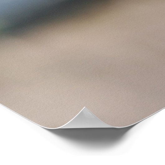 affiche des fruits bleuets (Coin)