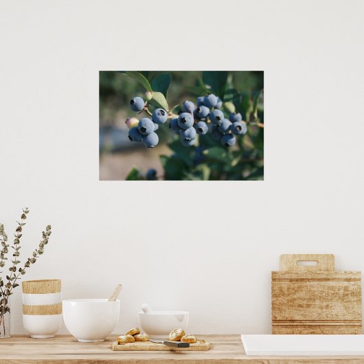 affiche des fruits bleuets (Cuisine)