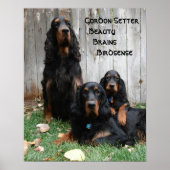 Affiche des générations Gordon Setter (Devant)