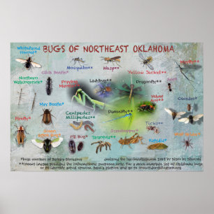 affiche des insectes du nord-est de l'Oklahoma 19
