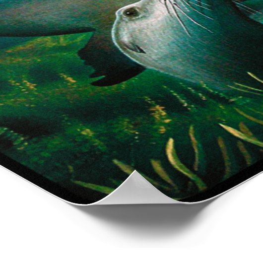 Affiche des lions de mer (Coin)