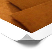 Affiche des marches éclairées par le soleil (Coin)