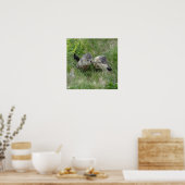 Affiche des marmottes (Cuisine)