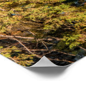 Affiche des montagnes rocheuses (Coin)