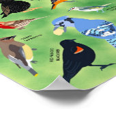 Affiche des oiseaux de jardin du Wisconsin (Coin)