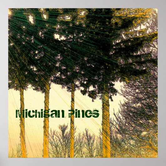 Affiche des pins du Michigan (Devant)