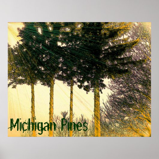Affiche des Pins du Michigan (Devant)