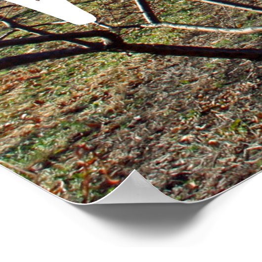 Affiche des priorités (Coin)