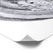 Affiche des rats de tube (Coin)