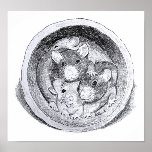 Affiche des rats de tube (Devant)