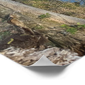 Affiche des réflexions sur le paysage aquatique du (Coin)