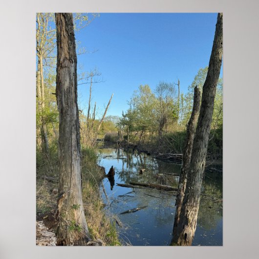 Affiche des réflexions sur le paysage aquatique du (Devant)