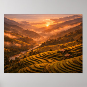 Affiche des rizières de Golden Sunset