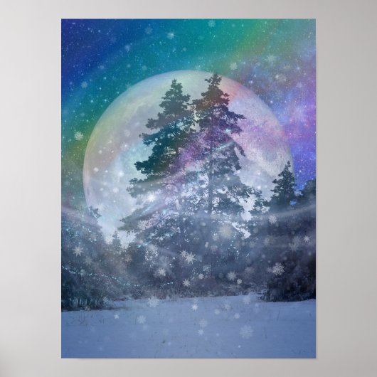 Affiche des vents d'hiver (Devant)