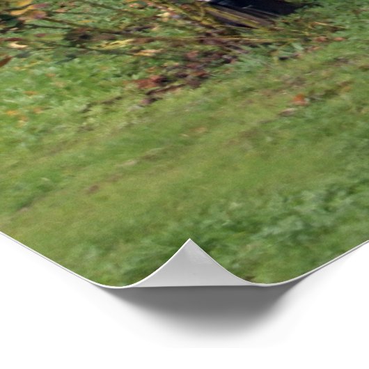 Affiche des vignobles de Napa (Coin)