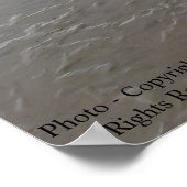 Affiche des zones humides (Coin)