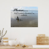 Affiche des zones humides (Cuisine)