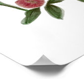 Affiche dessin de fleurs à l'aquarelle (Coin)