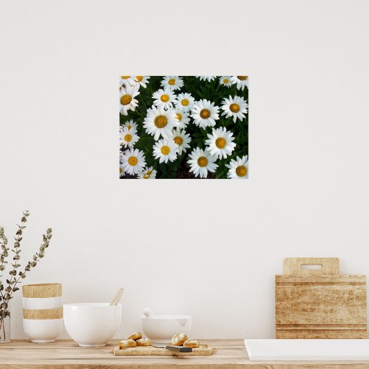 Affiche d'été de Shasta Daisy (Cuisine)