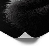 affiche d'hérisson b&w (Coin)