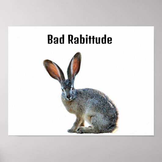 Affiche d'humour de lapin mauvaise attitude (Devant)