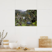 Affiche d'identification des oiseaux de Nouvelle-Z (Cuisine)