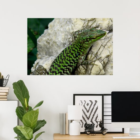 affiche d'iguanes (Bureau à domicile)