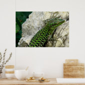 affiche d'iguanes (Cuisine)