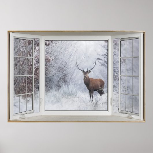 Affiche d'illusion de la fenêtre du cerf blanc d'h (Devant)