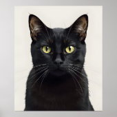 Affiche d'illustration de chat noir élégant (Devant)
