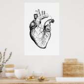 Affiche d'illustration de l'anatomie cardiaque (Cuisine)