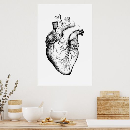 Affiche d'illustration de l'anatomie cardiaque (Cuisine)