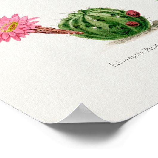 Affiche d'illustration vintage (Coin)