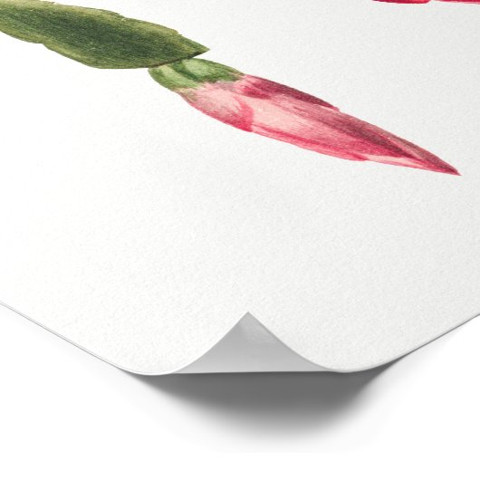 Affiche d'illustration vintage (Coin)