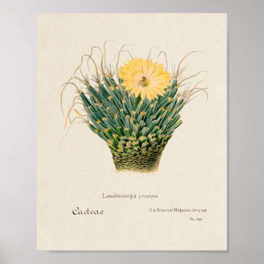 Affiche d'illustration vintage (Devant)
