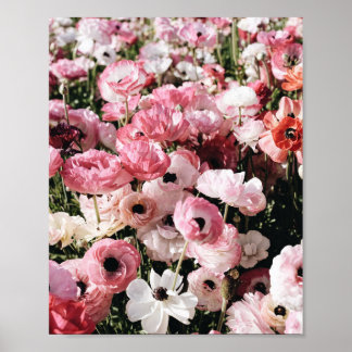 Affiche d'impression de fleurs roses et blanches